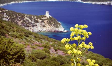 Sardinien - Wilde Schönheit (Wanderreise)